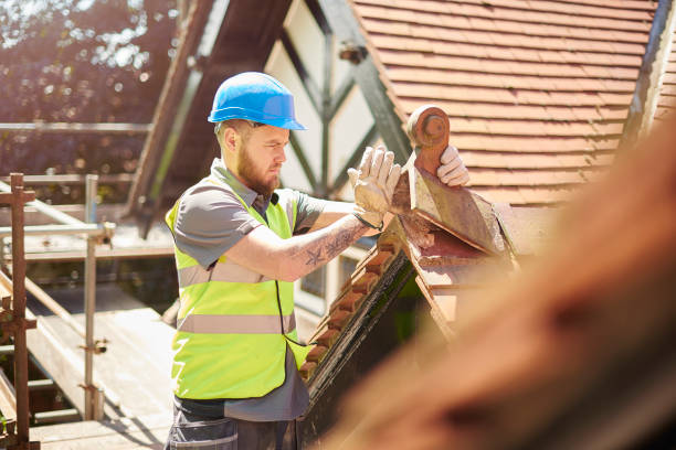 Best Roof Gutter Cleaning  in Chariton, IA
