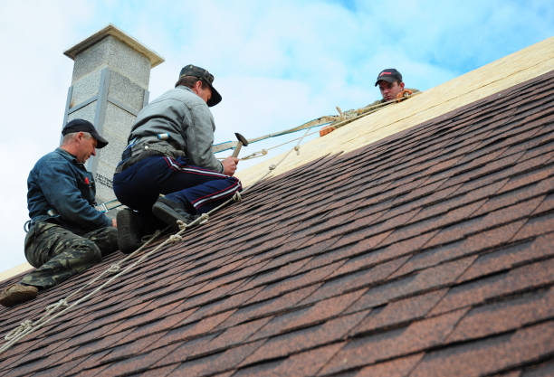 Best Roof Repair Services  in Chariton, IA